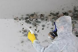 Best Asbestos and Lead Testing During Mold Inspection  in Elizabethville, PA